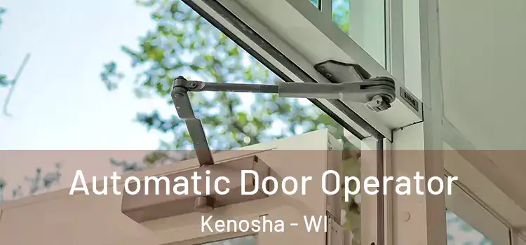 Automatic Door Operator Kenosha - WI